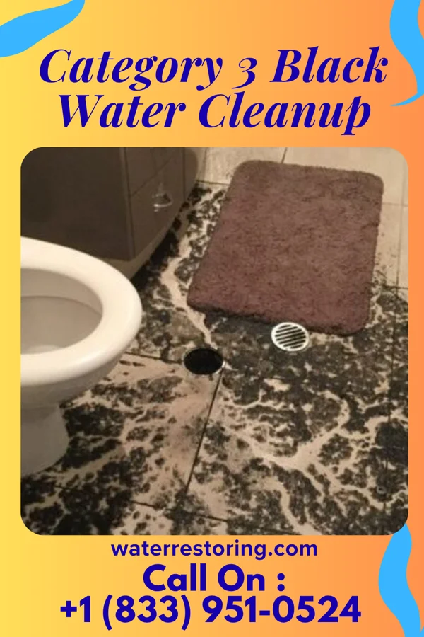 Category 3 Black Water Cleanup in Shorewood, WI