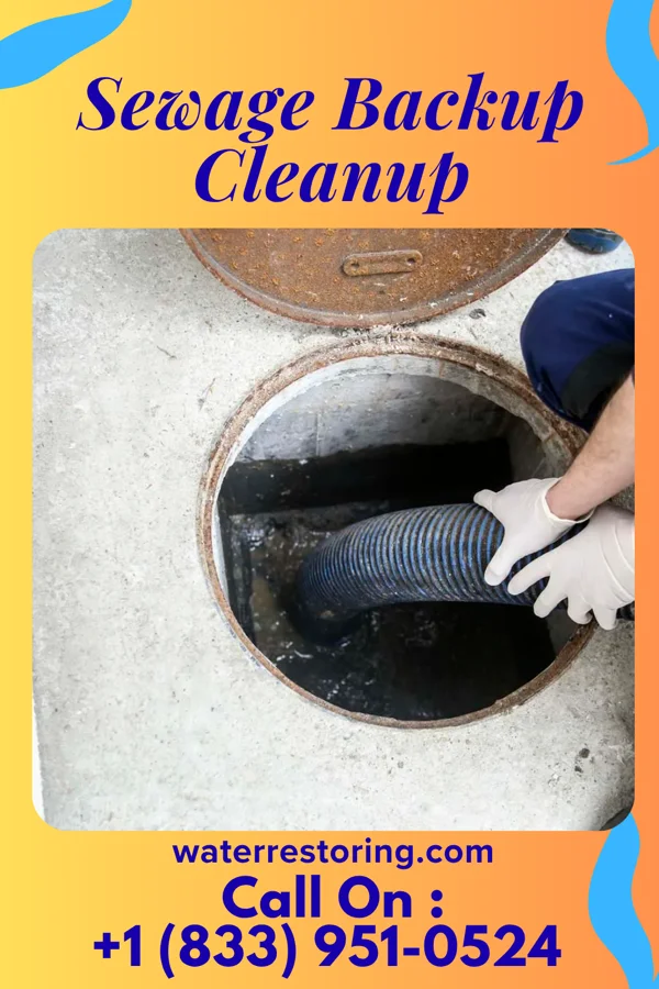 Sewage Backup Cleanup in Shorewood, WI